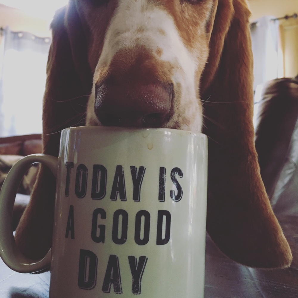 Meet your Posher, Katie